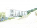 Tn DSC 4717